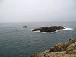 IMG_3527