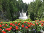 Picture 260