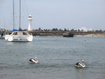 harbour
IMG_0807