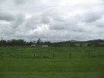 路途風光
IMG_1048