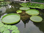 IMG_1636