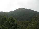 大枕蓋