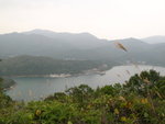 IMG_2200