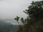 STC_2196
