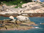 靈龜出海