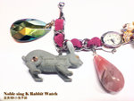 08_Apr_rabbitwatch_04