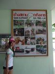 DSCF2626