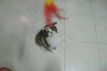 Play