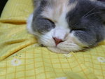 Asleep