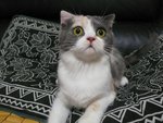 Huh?