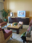 TV room with DVD player
