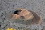 IMG_0024