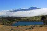 IMG_0229