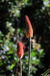 IMG_0285