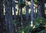 IMG_0311
