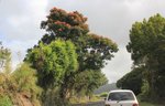 IMG_9580
