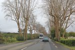 IMG_9584
