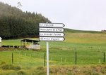 IMG_9595