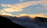 IMG_9698