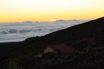IMG_9905