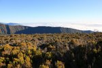 IMG_9962
