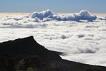 IMG_9984