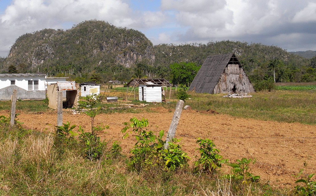 La Guira