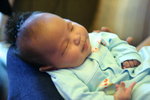 IMG_9231