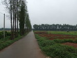 DSCF2673