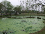 DSCF2812