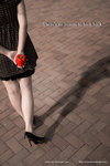 cover01_DSC6086