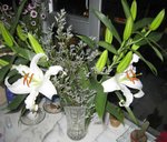 照片 041