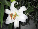 照片 042