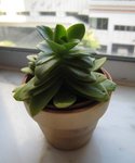 火焰仔
照片 048