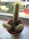 照片 050