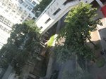 照片 054