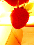 DSC01710