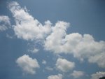 IMG_0039 (Medium)