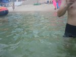 IMG_0068 (Medium)