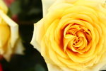 IMG_2105