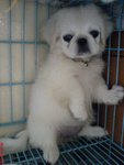 DSC00691