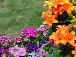 DSCF1263