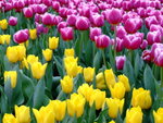 DSCF1433