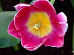 DSCF1434