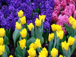 DSCF1444