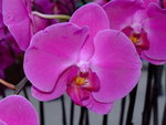 DSCF1478