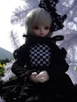 IMGP0757