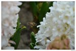 DSC_0075_s