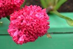 DSC_1294_s