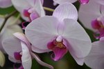 DSC_1358_s